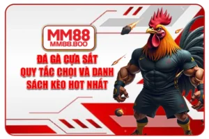 Đá Gà Cựa Sắt - Quy Tắc Chọi Và Danh Sách Kèo Hot Nhất
