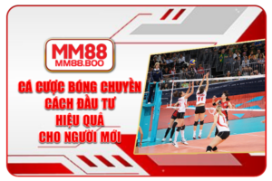 Cá Cược Bóng Chuyền - Cách Đầu Tư Hiệu Quả Cho Người Mới