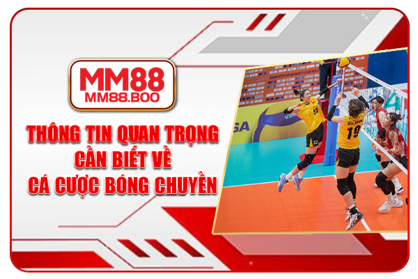 Thông tin quan trọng cần biết về cá cược bóng chuyền